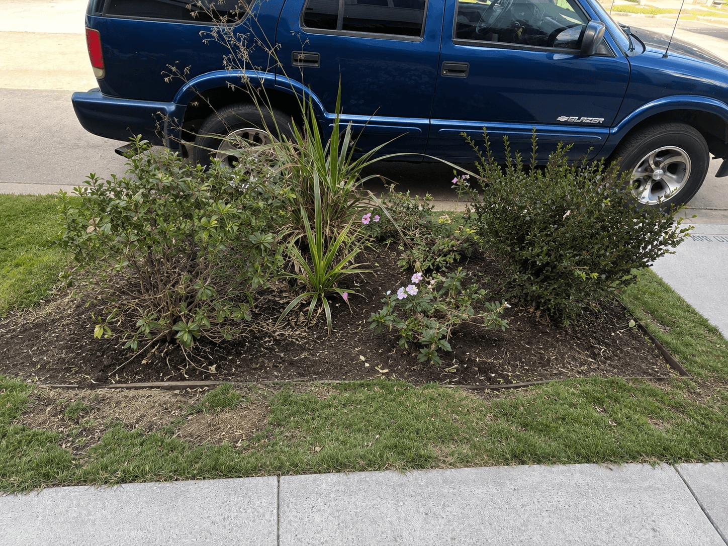 Landscape area before Urbinas Landscape project