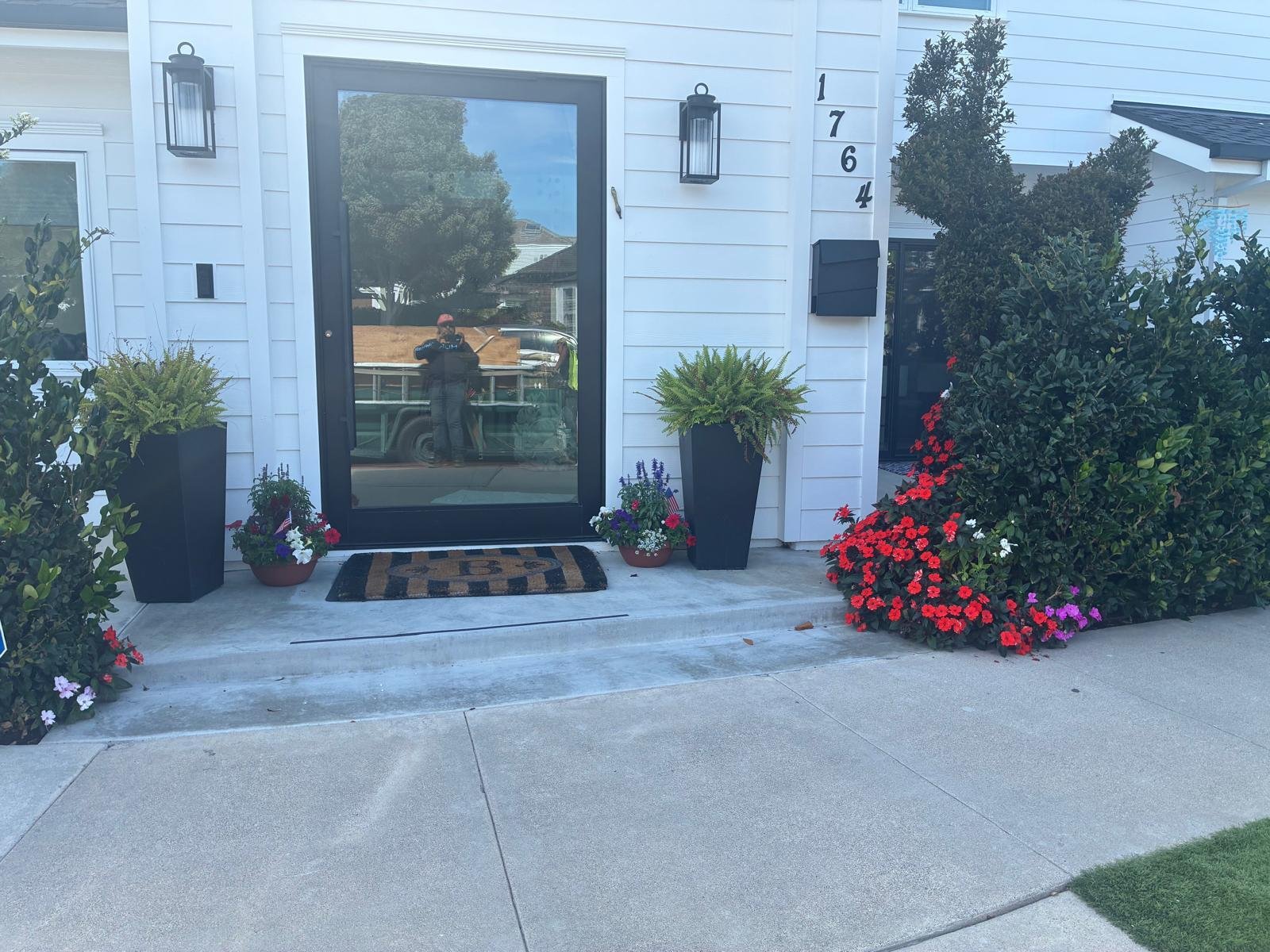 Professional planting services