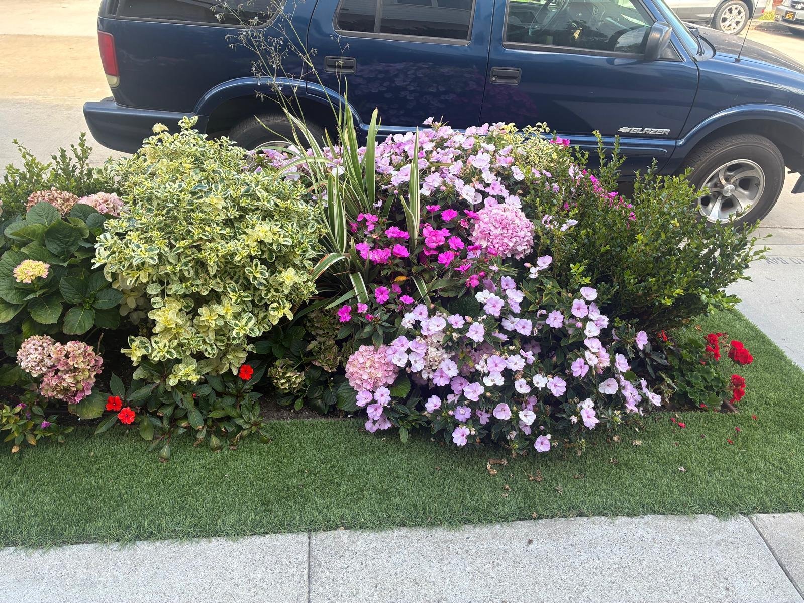 Landscape area after Urbinas Landscape project