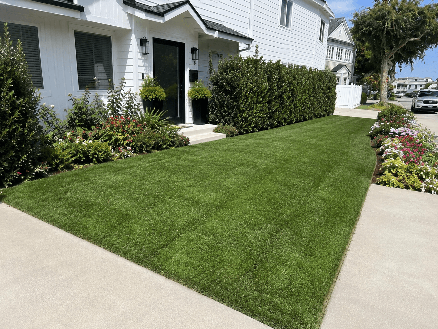 Professional residential lawn services