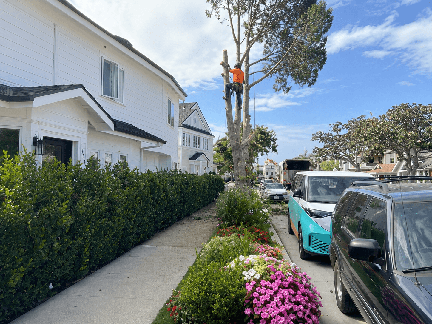 Landscape removal and yard cleanup services