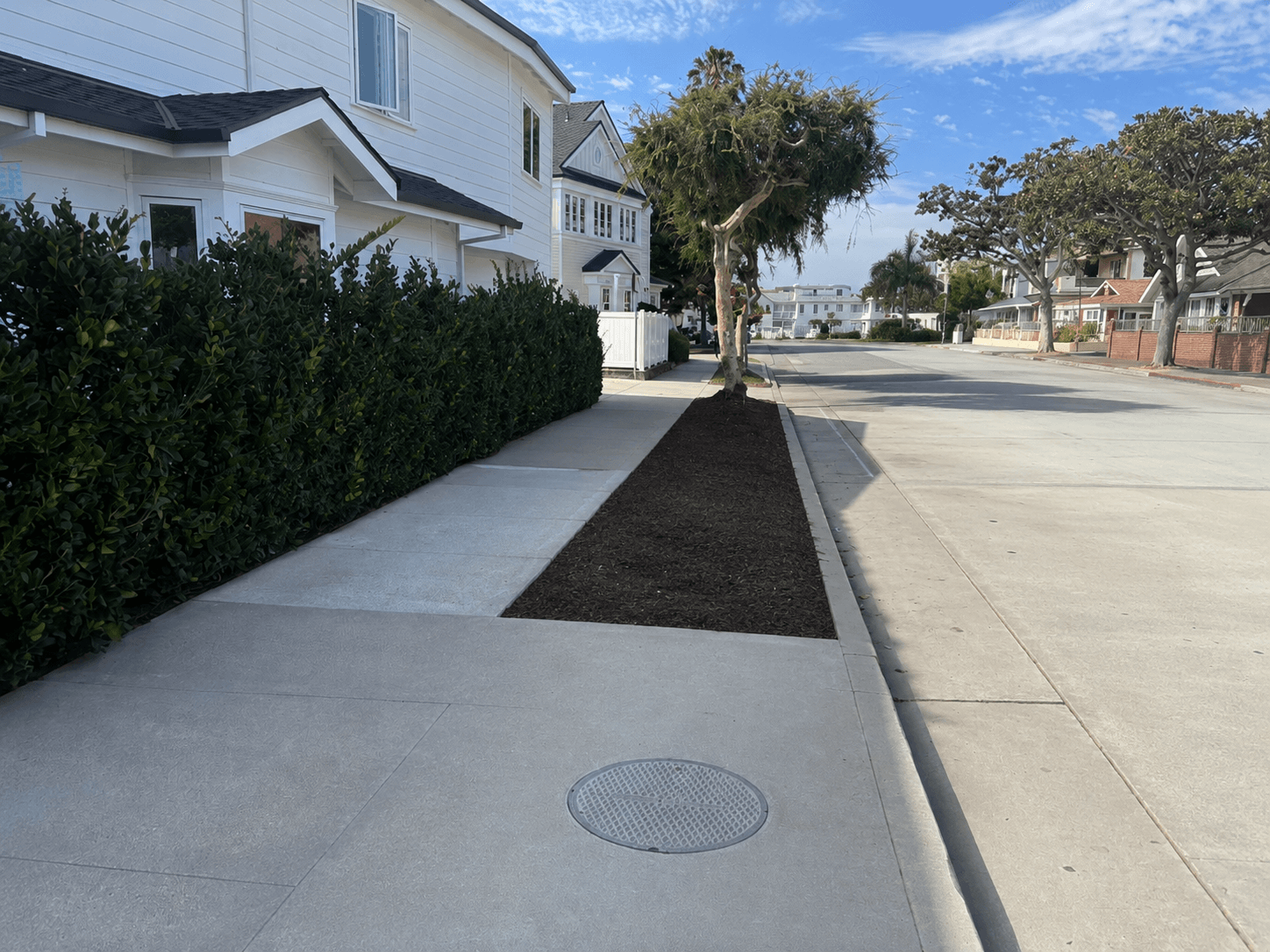 Professional residential tree removal